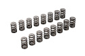 EJ205/207/255/257 Valve Spring TOMEI