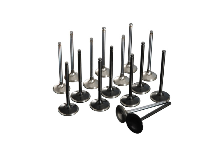 EJ207/EJ255/EJ257 OVER SIZE Valve Set TOMEI in the group Select car model / Subaru / Impreza inkl. WRX - STI 92-00 / Tuning at DDESIGN Scandinavia AB (TOM163403)