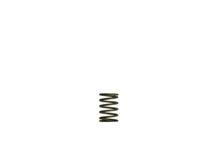 WG38/40 3psi Black Inner Spring in the group Select car model at DDESIGN Scandinavia AB (TS-0550-3081)