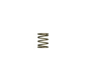 Gen-V WG45/50 3psi Orange Inner Spring