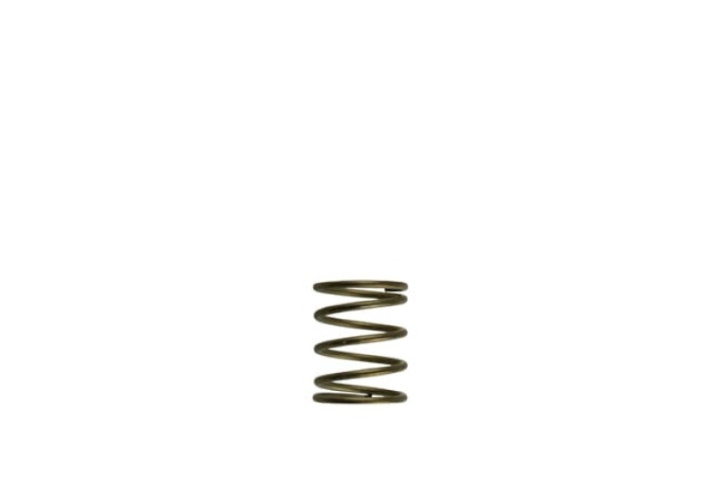 Gen-V WG45/50 3psi Orange Inner Spring in the group Select car model at DDESIGN Scandinavia AB (TS-0550-3085)