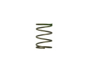 WG45/50 7psi Green Middle Spring
