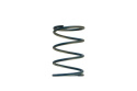 WG45/50 14psi Blue Outer Spring