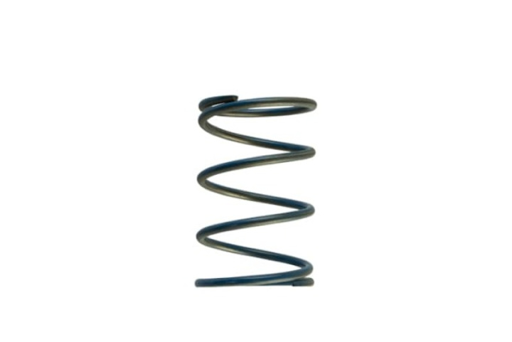 WG45/50 14psi Blue Outer Spring in the group Select car model at DDESIGN Scandinavia AB (TS-0550-3088)