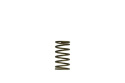 Gen-V WG60 3psi Inner Spring