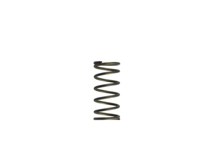 Gen-V WG60 5psi Purple Inner Spring in the group Select car model at DDESIGN Scandinavia AB (TS-0550-3090)
