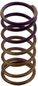 Gen-V WG60 5psi Purple Inner Spring