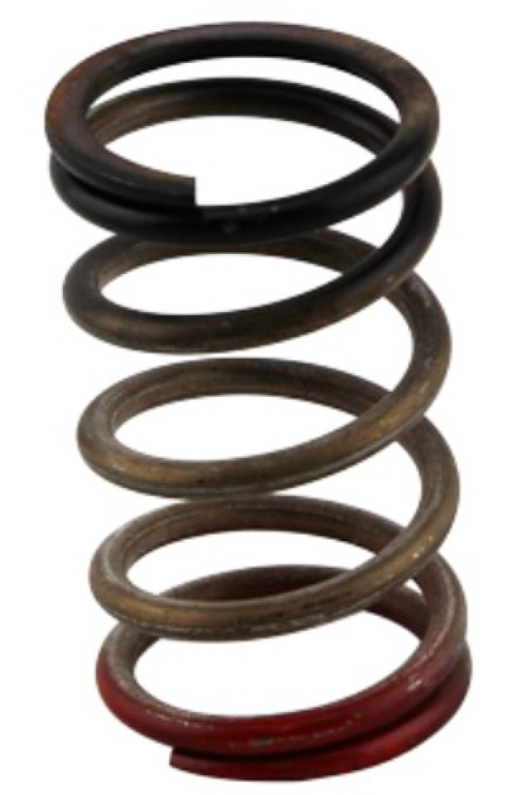 GenV WG HP 40psi Spring (Black/Red) in the group Select car model at DDESIGN Scandinavia AB (TS-0550-3112)