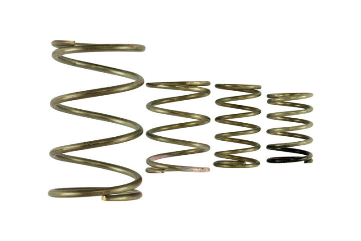 GenV WG38/40 Spring Replacement Kit in the group Select car model at DDESIGN Scandinavia AB (TS-0550-3150)