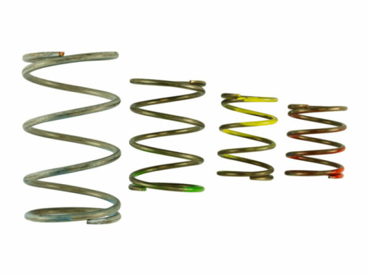 GenV WG45/50 Spring Replacement Kit in the group Select car model at DDESIGN Scandinavia AB (TS-0550-3151)