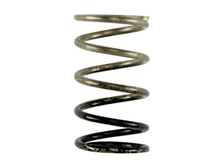 GenV IWG 3 PSI Spring in the group Select car model at DDESIGN Scandinavia AB (TS-0600-2006)