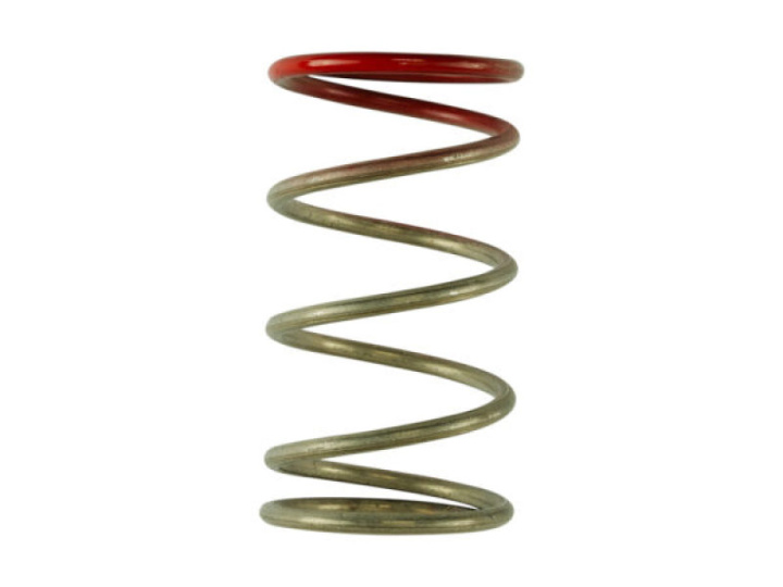 GenV IWG 14 PSI Spring in the group Select car model at DDESIGN Scandinavia AB (TS-0600-2009)
