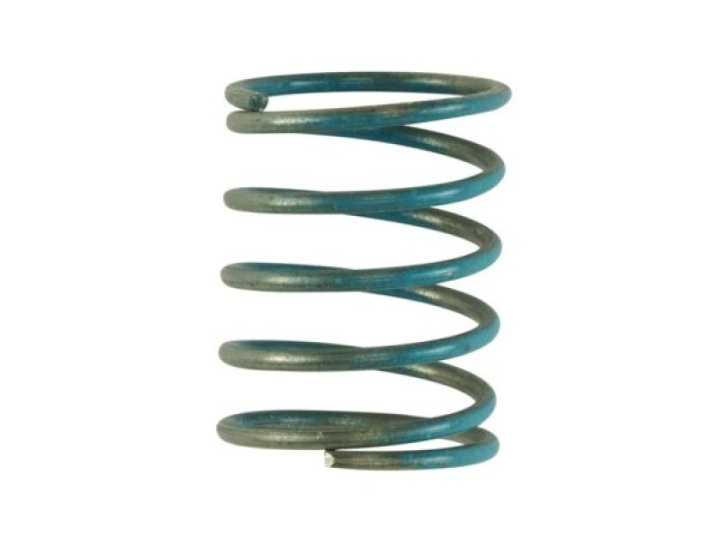 57mm Vacuum Spring 6 inhg in the group Select car model at DDESIGN Scandinavia AB (TS-0600-3054)