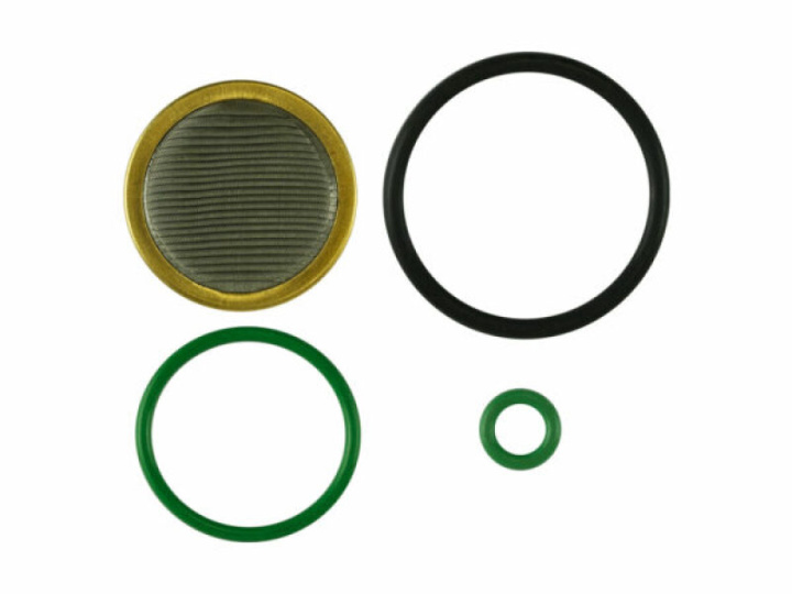 Oil Pressure Regulator (V2) Rebuild Kit Inc Filter 44um in the group Select car model at DDESIGN Scandinavia AB (TS-0801-3001)