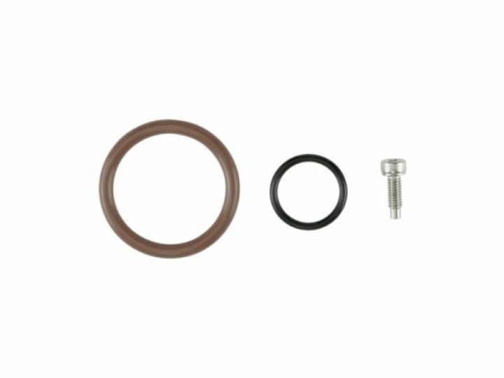 Oil Cap - LS O-Ring in the group Select car model at DDESIGN Scandinavia AB (TS-0893-3002)