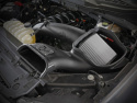 Ford F-150 2021-2023 V8-5.0L MagnumFORCE Intake Stage-2 Pro DRY S aFe Power
