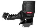 Honda Civic Type R 2017-2021 L4-2.0L (t) Momentum GT Pro Dry S Intake System - aFe Power
