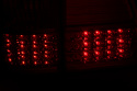 Toyota Land Cruiser 2005 LED Tail Lights ANZO