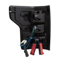 FORD F-150 2018-2019 LED Taillights Smoke ANZO