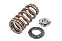 APR Audi/Bentley/Lamborghini/Porsche/Volkswagen Valve Spring Kit - Single