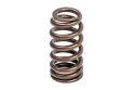APR Audi/Bentley/Lamborghini/Porsche/Volkswagen Valve Spring Kit - Single
