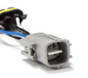 Toyota 4Runner 2021 Wiring Adapter AlphaRex