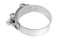 Dinan Low-Profile Barrel Band Clamp - 3