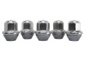 2015-25 Mustang Lug Nut Kit Ford Racing
