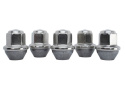 2015-25 Mustang Lug Nut Kit Ford Racing