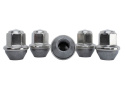 2015-25 Mustang Lug Nut Kit Ford Racing