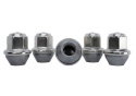 2015-25 Mustang Lug Nut Kit Ford Racing