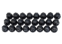 M12 X 1.5 Black Lug Nut Kit (24 Pcs) Ford Racing