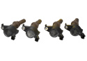 4.6L 3V Ignition Coil Set Ford Racing