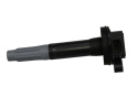 Ignition Coil Set 5.0L4V Ford Racing
