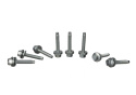 Ignition Coil Set 5.0L4V Ford Racing