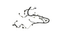 Engine Harness 5.0L Tivct Automatic 2015 Ford Racing