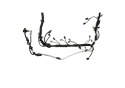 Engine Harness 5.0L Tivct Automatic 2015 Ford Racing