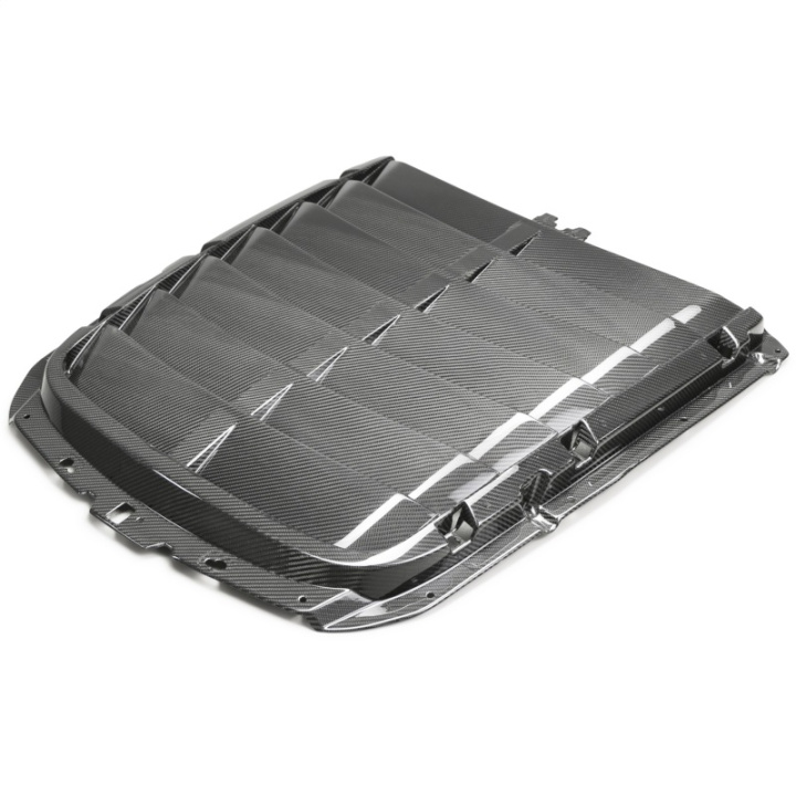 2020-2022 Gt500 Carbon Fiber Hood Vent Kit Ford Racing in the group Select car model / Ford at DDESIGN Scandinavia AB (frpM-16612-C20)
