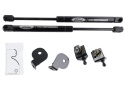 2015-2023 Mustang Hood Struts Ford Racing