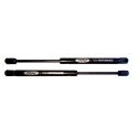 2005-14 Mustang Ford Performance Hood Struts Ford Racing