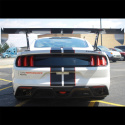 Fp350S Rear Wing Kit Ford Racing