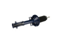 Single Service Front Strut M-18000-A Ford Racing