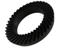 M220 4.88 Ring Gear And Pinion Ford Racing
