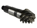 M220 4.88 Ring Gear And Pinion Ford Racing