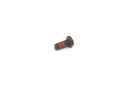 Manual Flywheel Bolt (10 Pack) Ford Racing