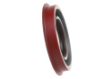 Pinion Oil Seal Ford Racing