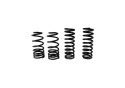 Spring Kit Front/Rear Mustang 1979-2004 Ford Racing