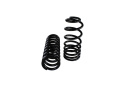 Spring Kit Front/Rear Mustang 1979-2004 Ford Racing