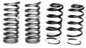 Spring Kit 1979-04 Must Ford Racing