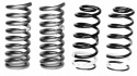 Spring Kit 1979-04 Must Ford Racing
